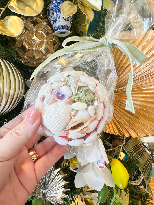 Shell Box - Mini Round box