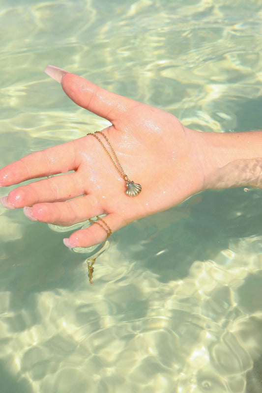 18K Gold PVD Stainless Steel Clam Shell Charm