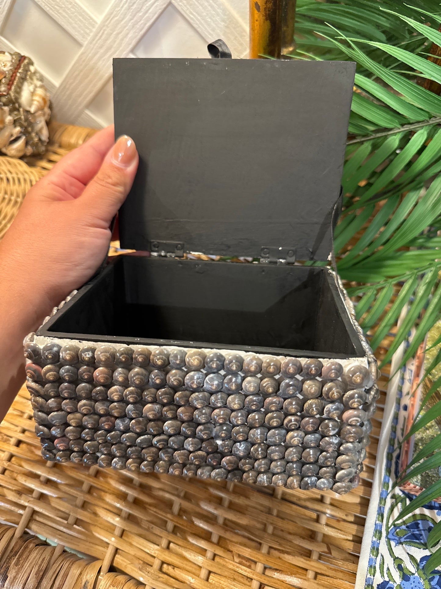 Shellbox- Small Wooden Umbonium with Cluster