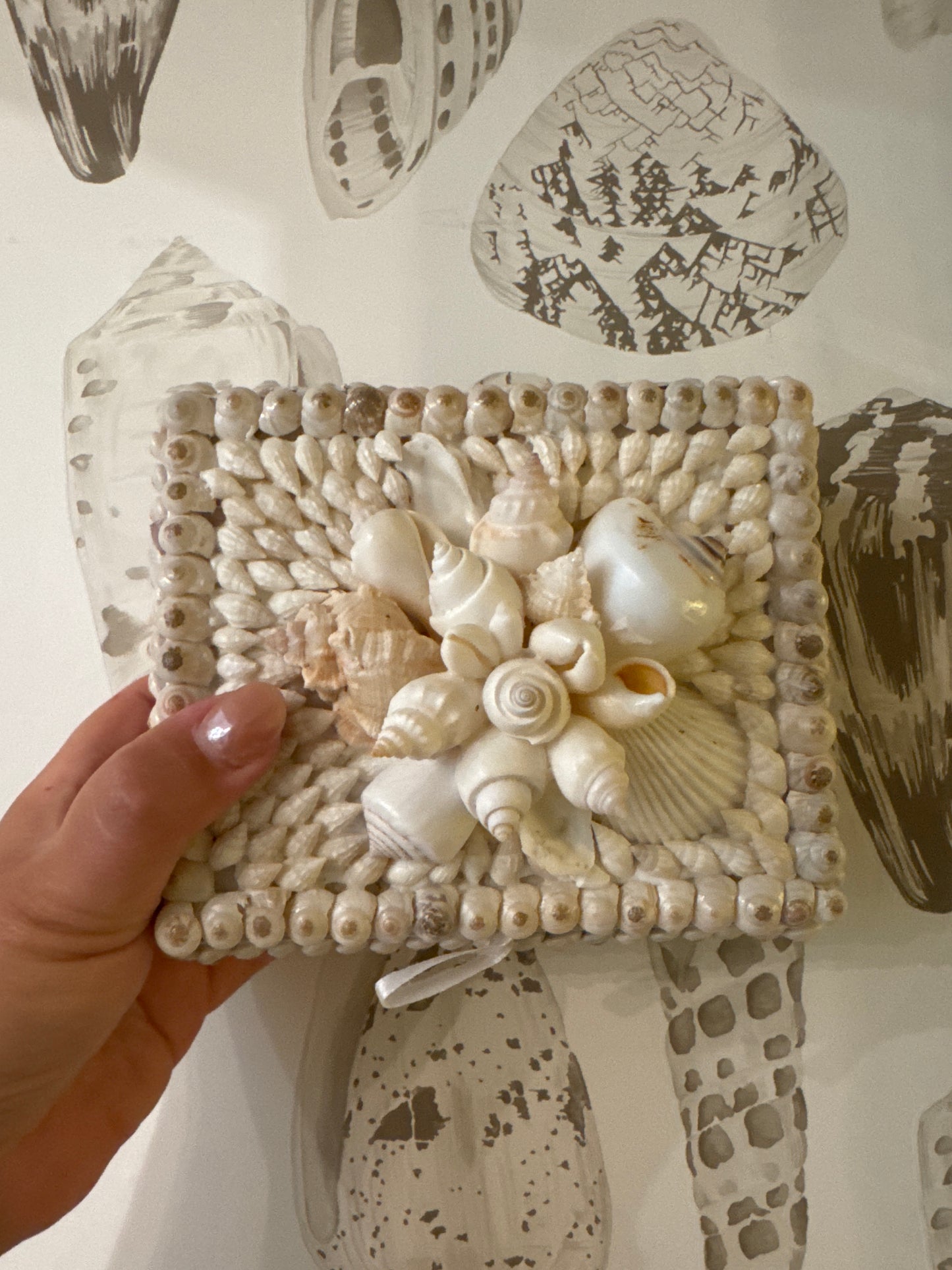 Shellbox- Small Wooden Umbonium with Cluster