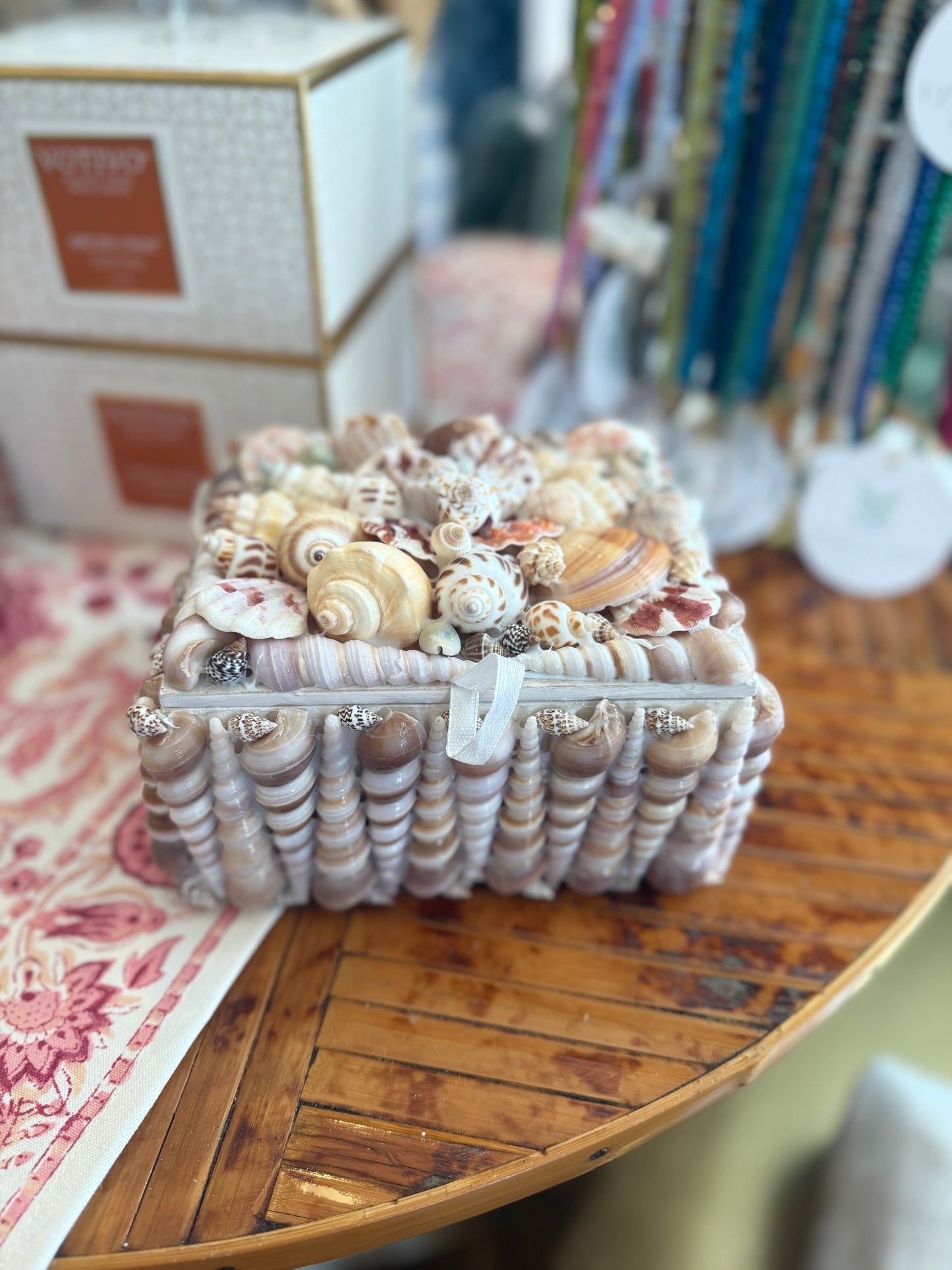 Shell Box- Turitella with Shell Cluster Top- 6" x 5"