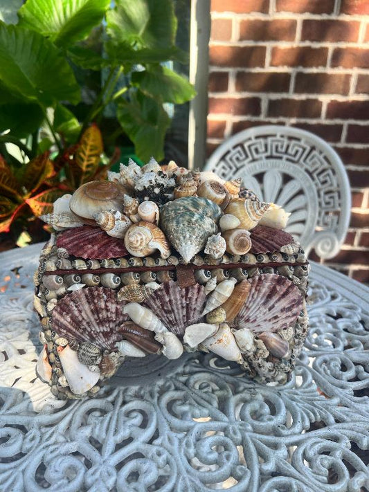 Shell Box- Large Natural Footed