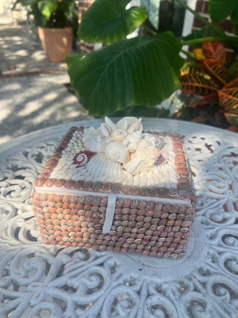 Shellbox- Small Wooden Umbonium with Cluster