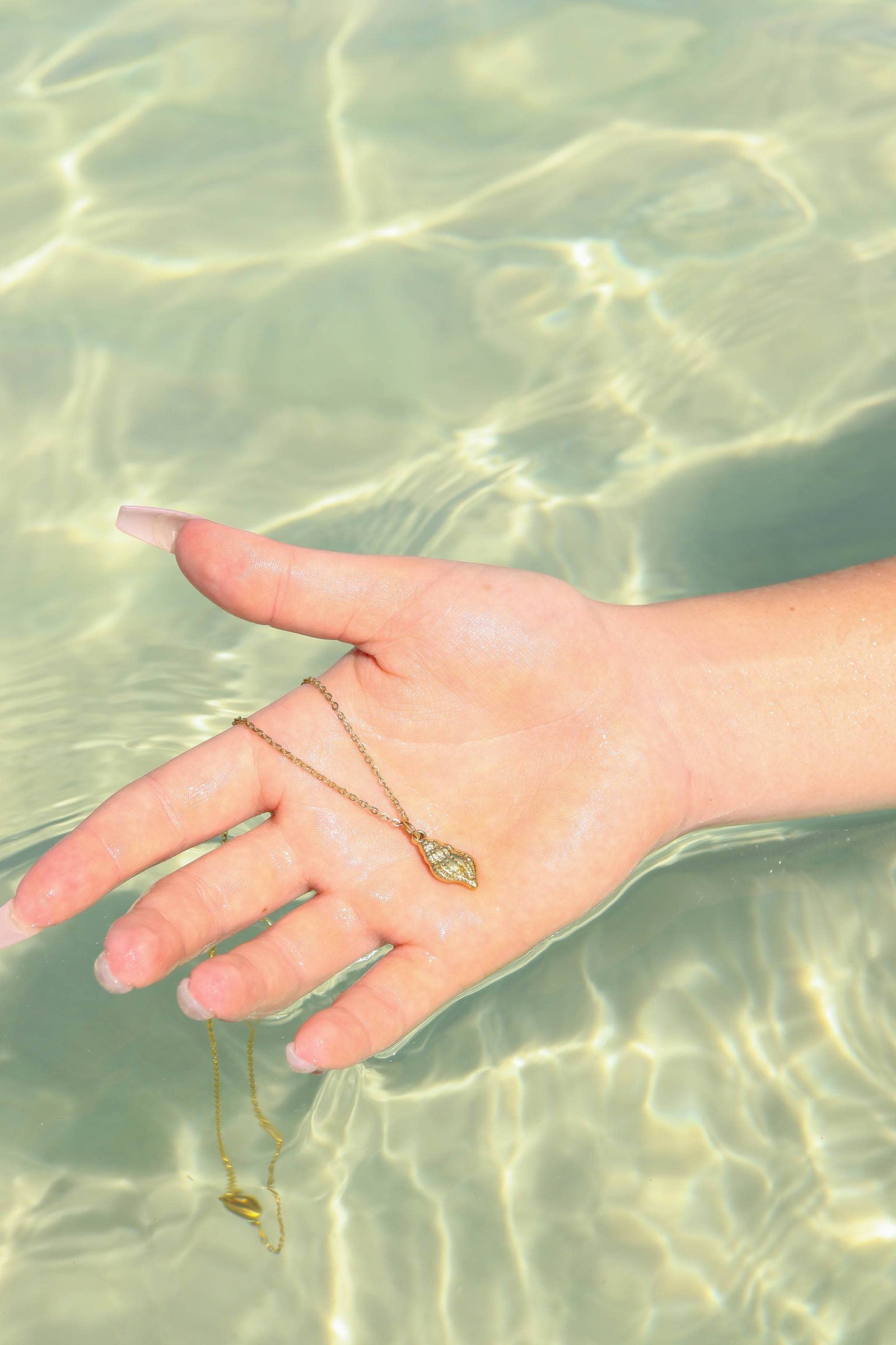 18K Gold PVD Stainless Steel Conch Seashell Charm