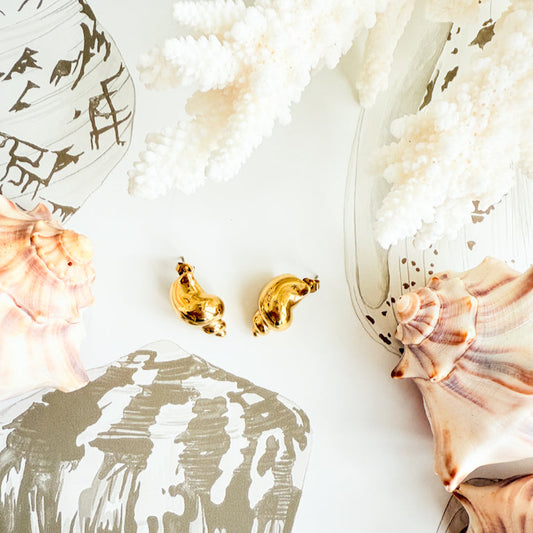 Carolina Conch Earrings