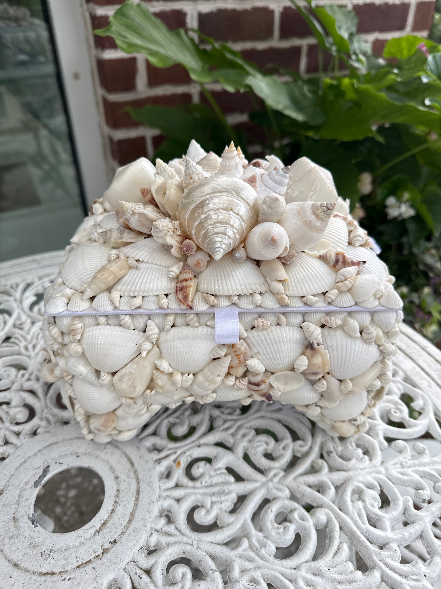 Shell box- Large White Footed