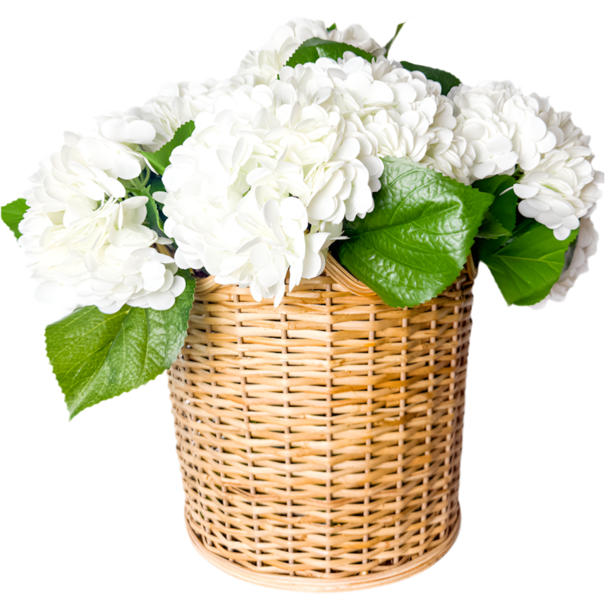 Whilden Scalloped Rattan Planter