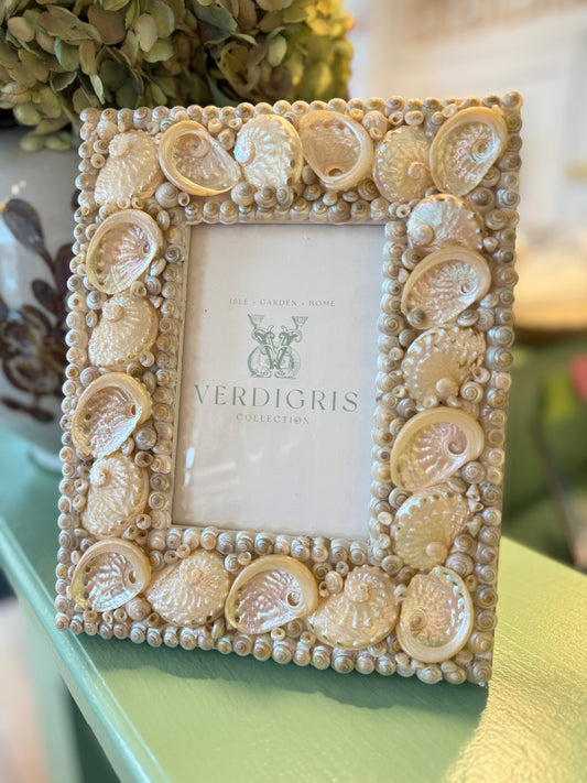 Shell Frame- Assorted Pearlized Shells 4" x 6"