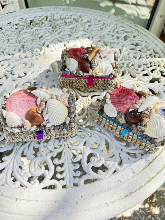 Shell Box - Mini Treasure Chest with Colored Lining