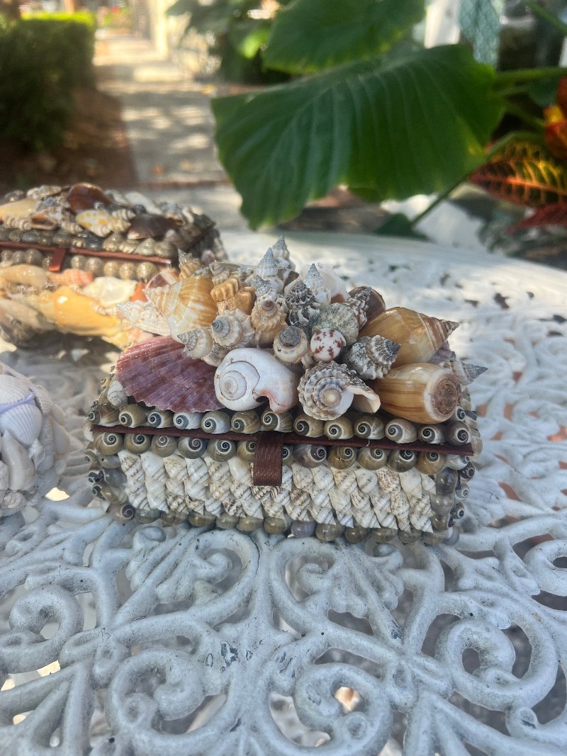 Shellbox- Small Natural Cluster