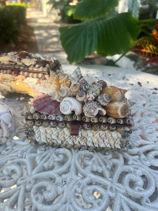 Shellbox- Small Natural Cluster