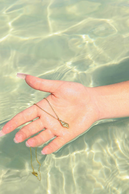 18K Gold PVD Stainless Steel Conch Seashell Charm